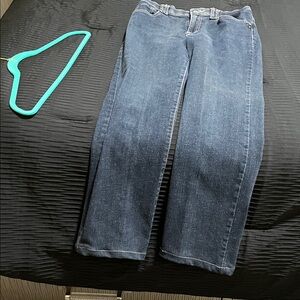 Gloria Vanderbilt Women's Straight Leg Jeans - Blue